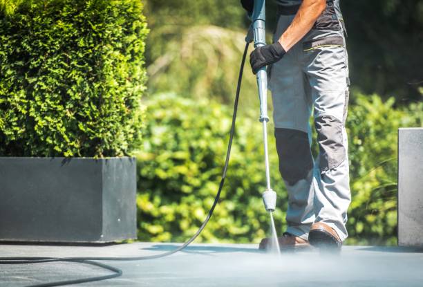 Best Restaurant Pressure Washing  in Shepherd, MI